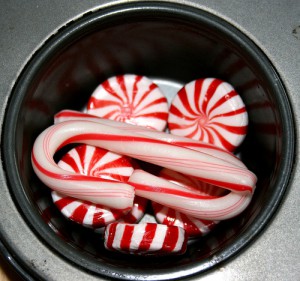 candy cane 
